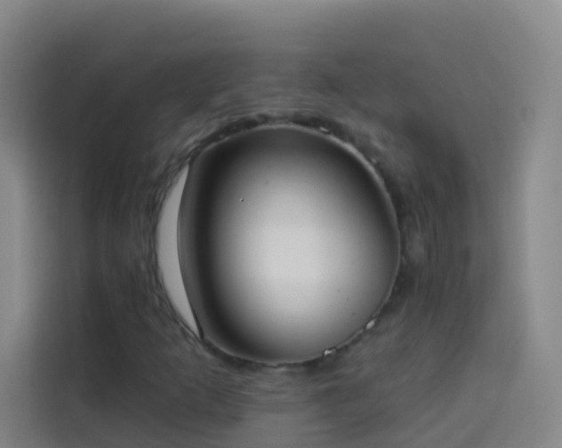X0000114031253200910021431