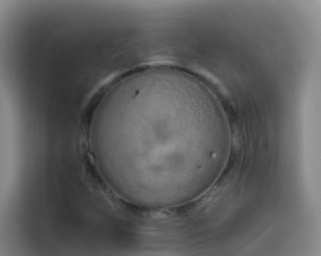 X0000114031255200910021431