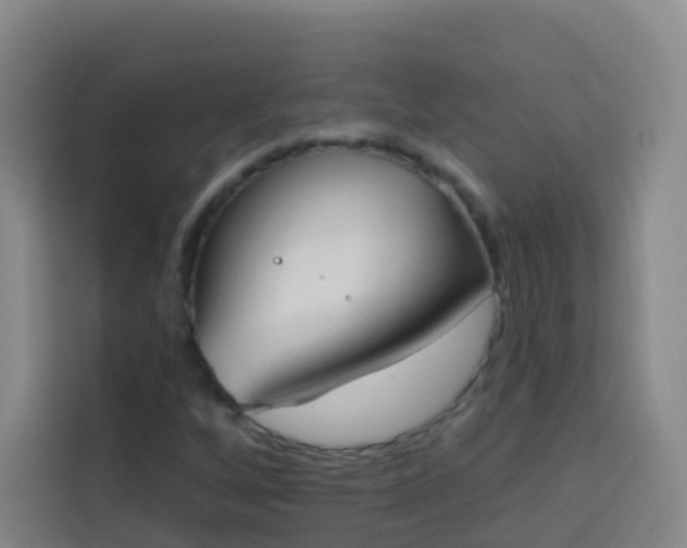 X0000114031256200910021431