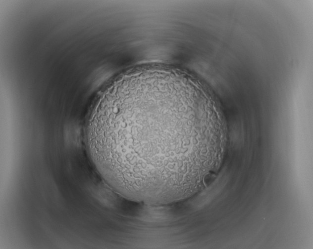 X0000114031258200910021431