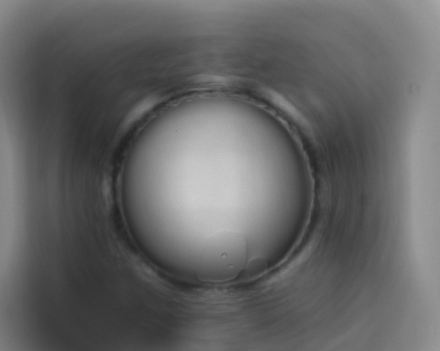 X0000114031259200910021431
