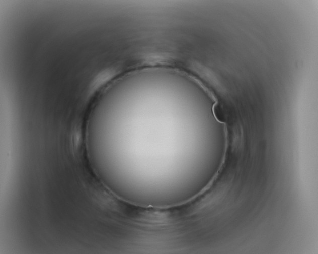 X0000114031261200910021431