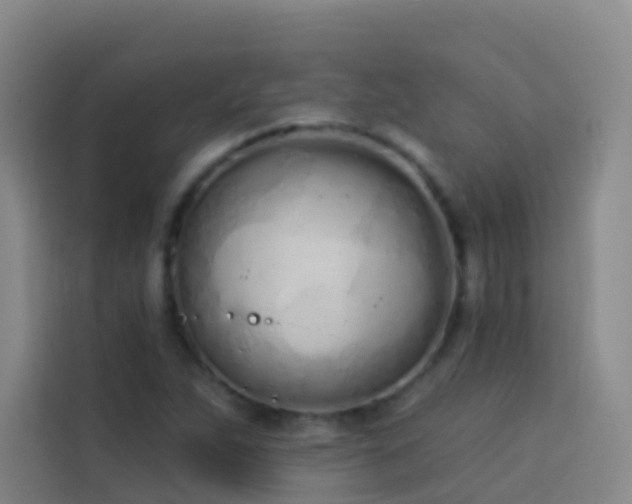 X0000114031263200910021431
