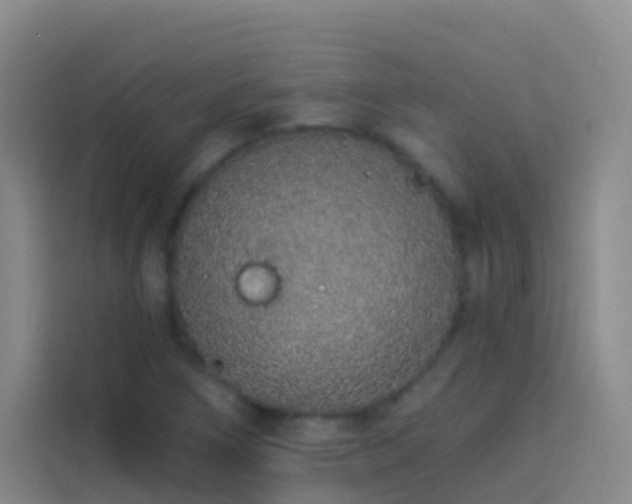 X0000114031266200910021431