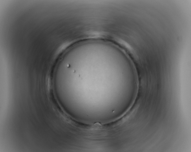 X0000114031267200910021431