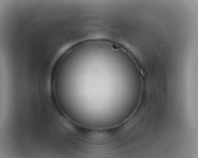 X0000114031270200910021431