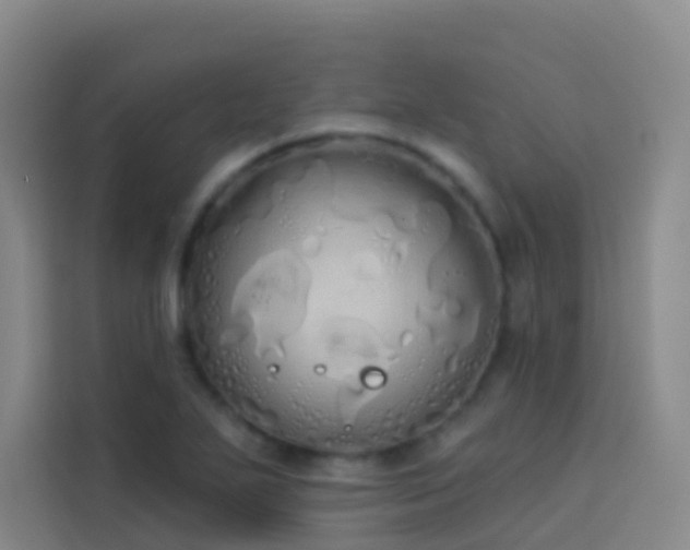 X0000114031271200910021431
