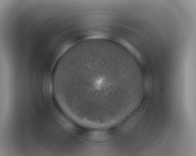 X0000114031274200910021431