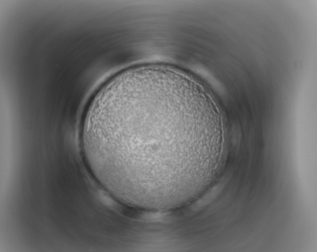 X0000114031278200910021431