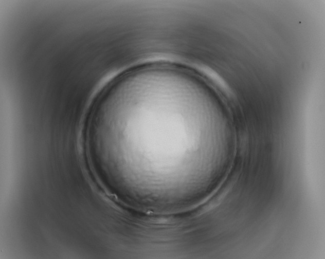 X0000114031279200910021431