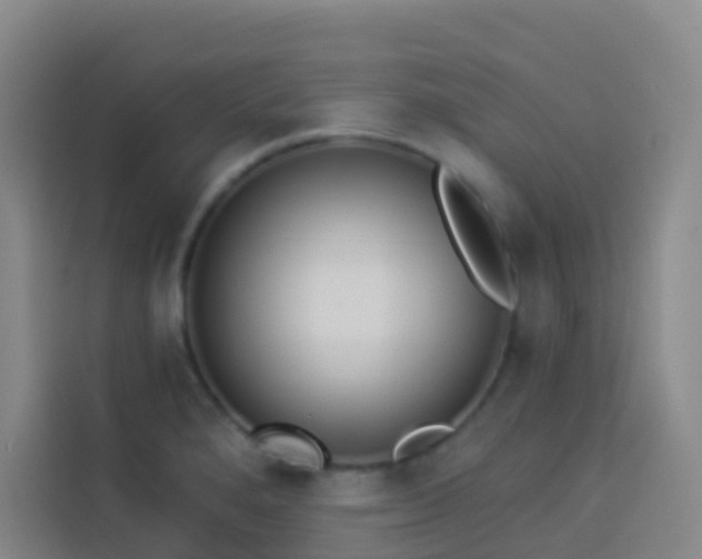 X0000114031280200910021431