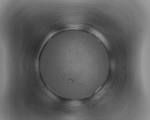 X0000114031283200910021431