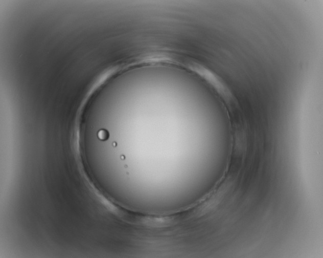 X0000114031286200910021431