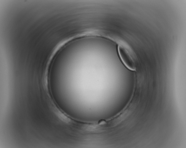 X0000114031288200910021431