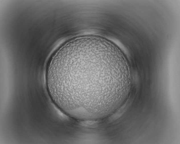 X0000114031294200910021431