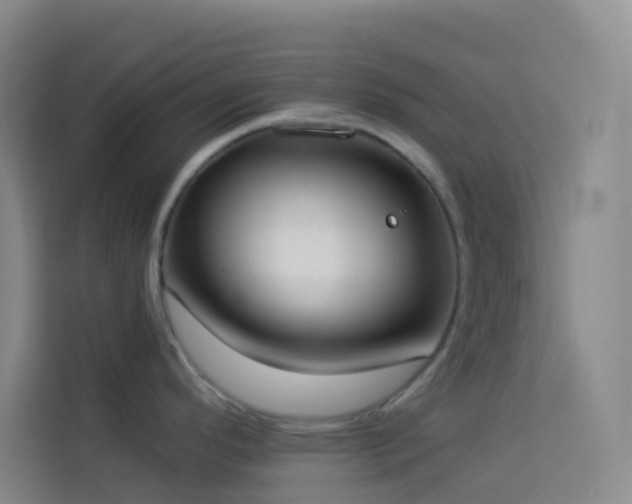 X0000114031296200910021431
