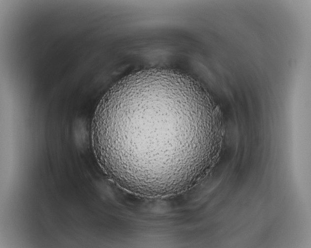 X0000114031298200910021430