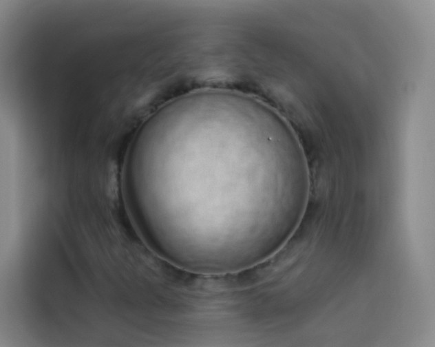 X0000114031301200910021430