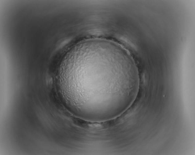 X0000114031302200910021430
