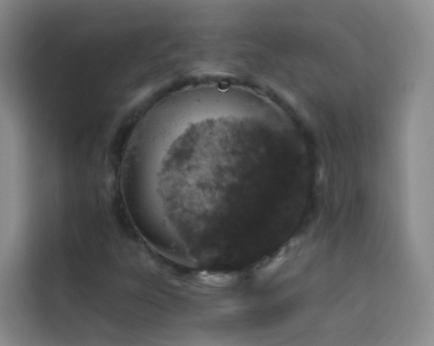 X0000114031303200910021430