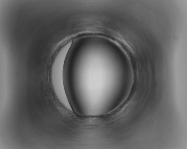 X0000114031304200910021430