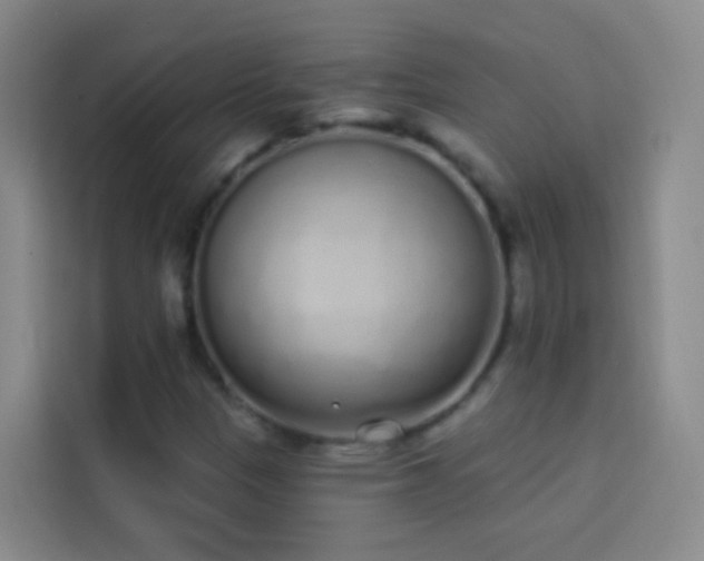 X0000114031305200910021430
