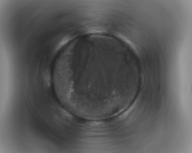X0000114031306200910021430