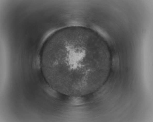X0000114031310200910021430