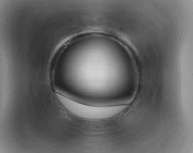 X0000114031312200910021430