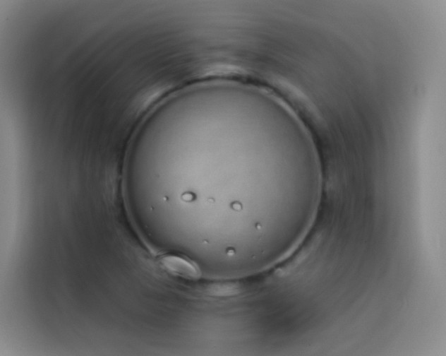 X0000114031313200910021430