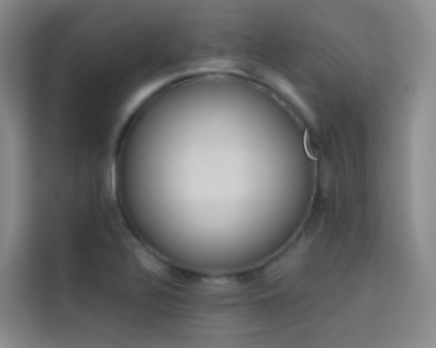 X0000114031320200910021431