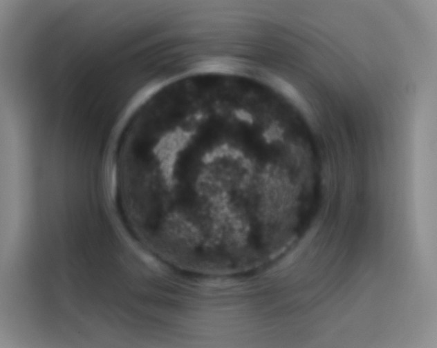 X0000114031323200910021431