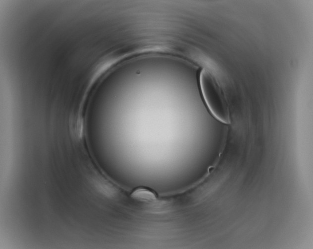 X0000114031324200910021431