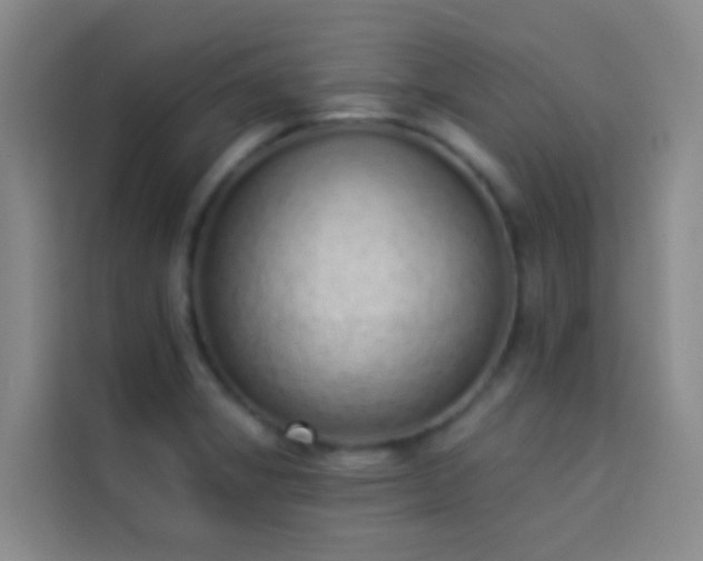 X0000114031325200910021431