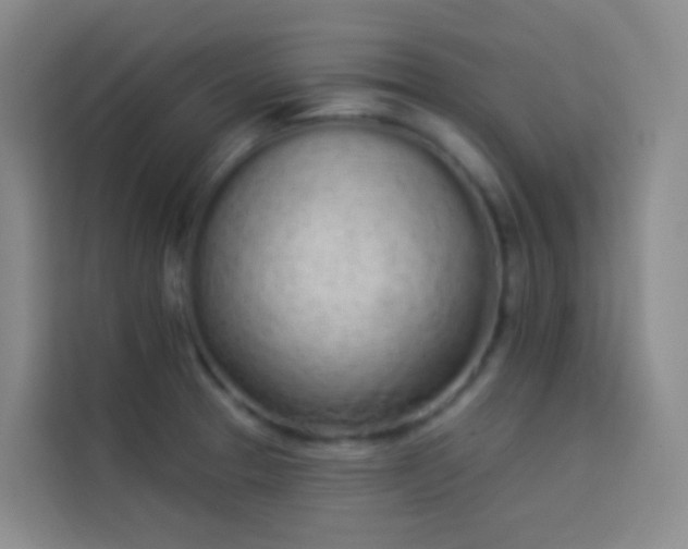 X0000114031329200910021431