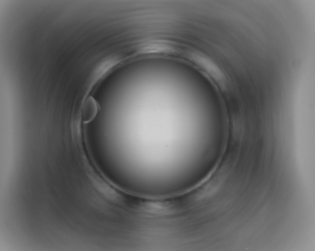 X0000114031330200910021431