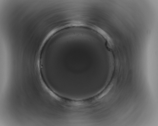 X0000114031334200910021431