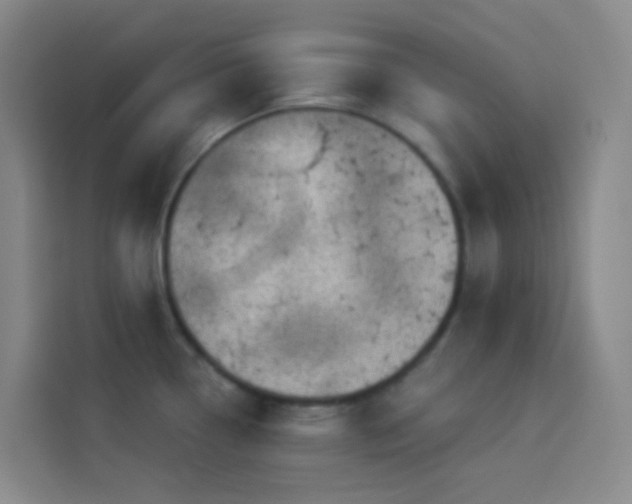 X0000114031338200910021431
