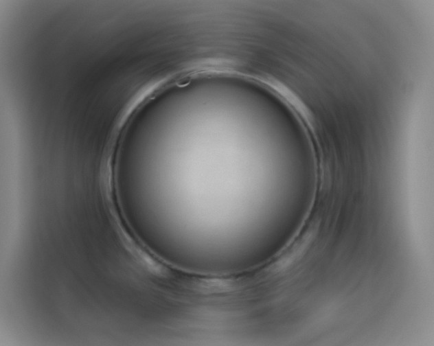 X0000114031341200910021431