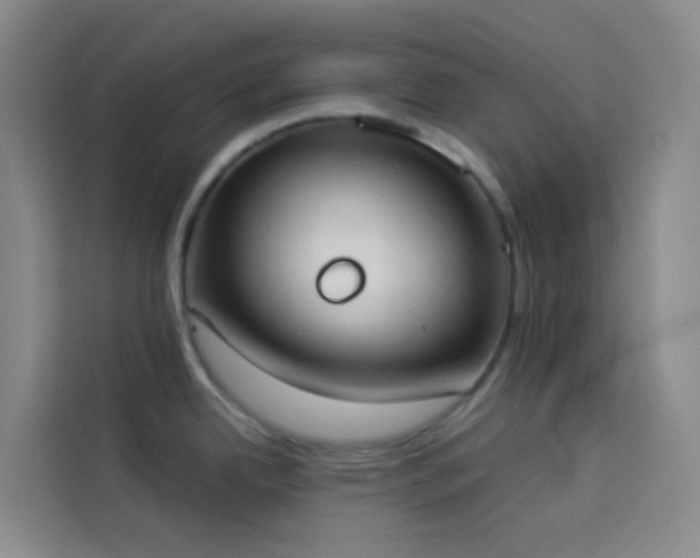 X0000114031342200910021431
