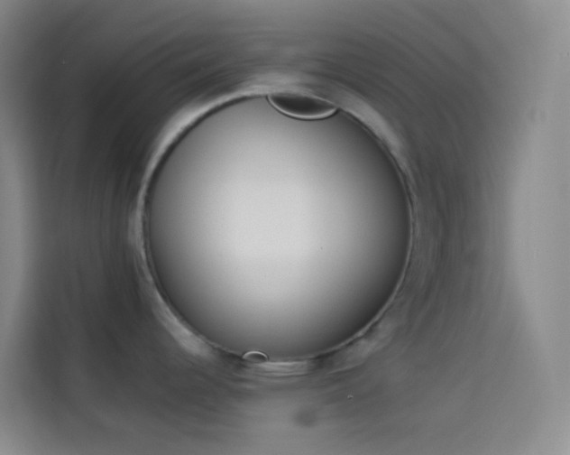 X0000114031344200910021431