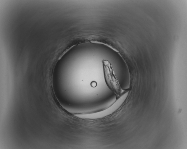 X0000114031345200910021430