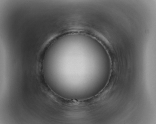 X0000114031352200910021430