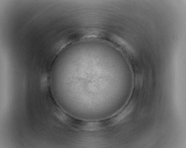 X0000114031353200910021430