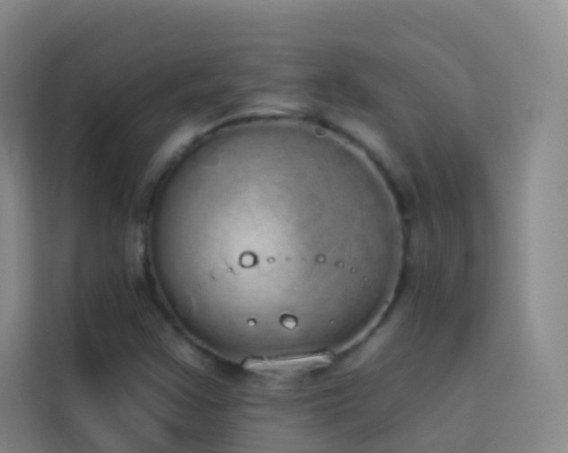 X0000114031355200910021430