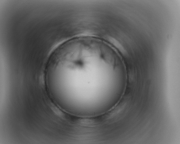 X0000114031356200910021430
