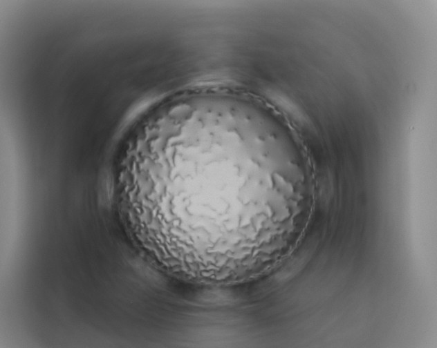 X0000114031358200910021430