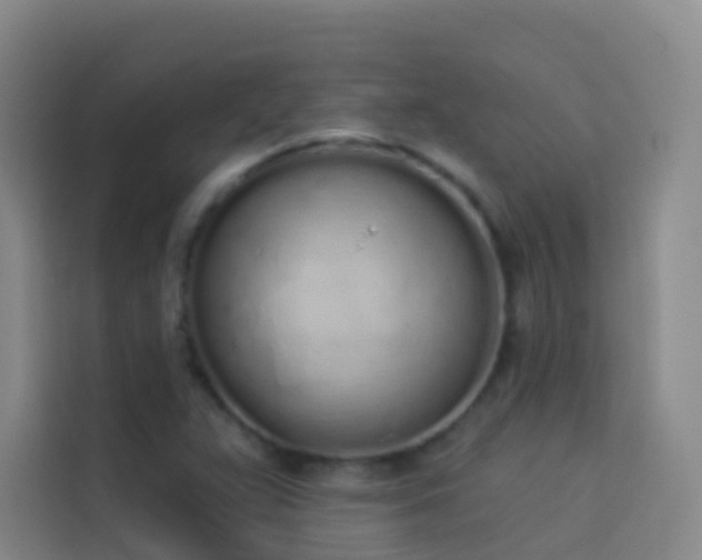 X0000114031359200910021430