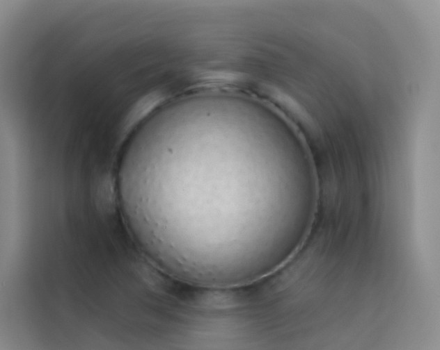 X0000114031362200910021430