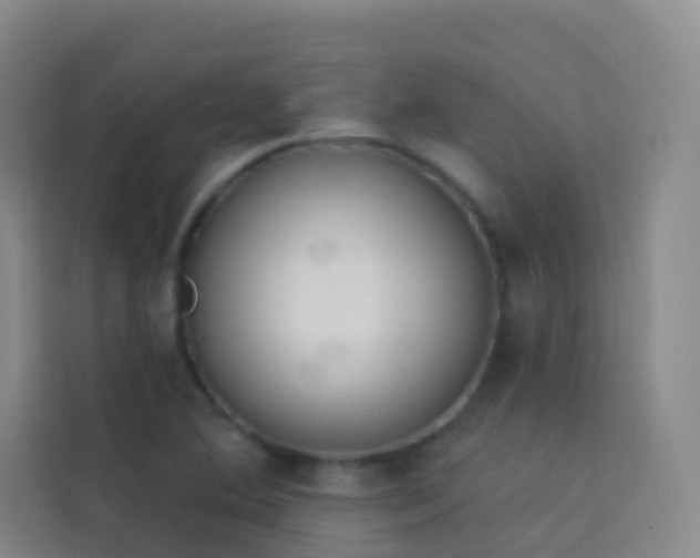 X0000114031364200910021430
